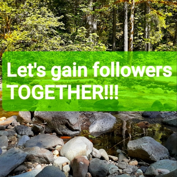 LIKE, SHARE, FOLLOW! Come back when price drops! - Picture 3 of 15